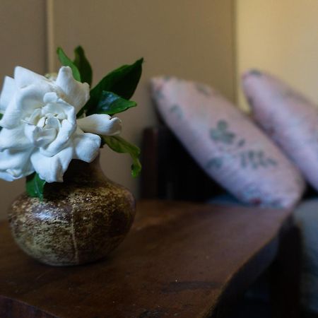 メロMi Casa Es Tu Casaアパートメント エクステリア 写真