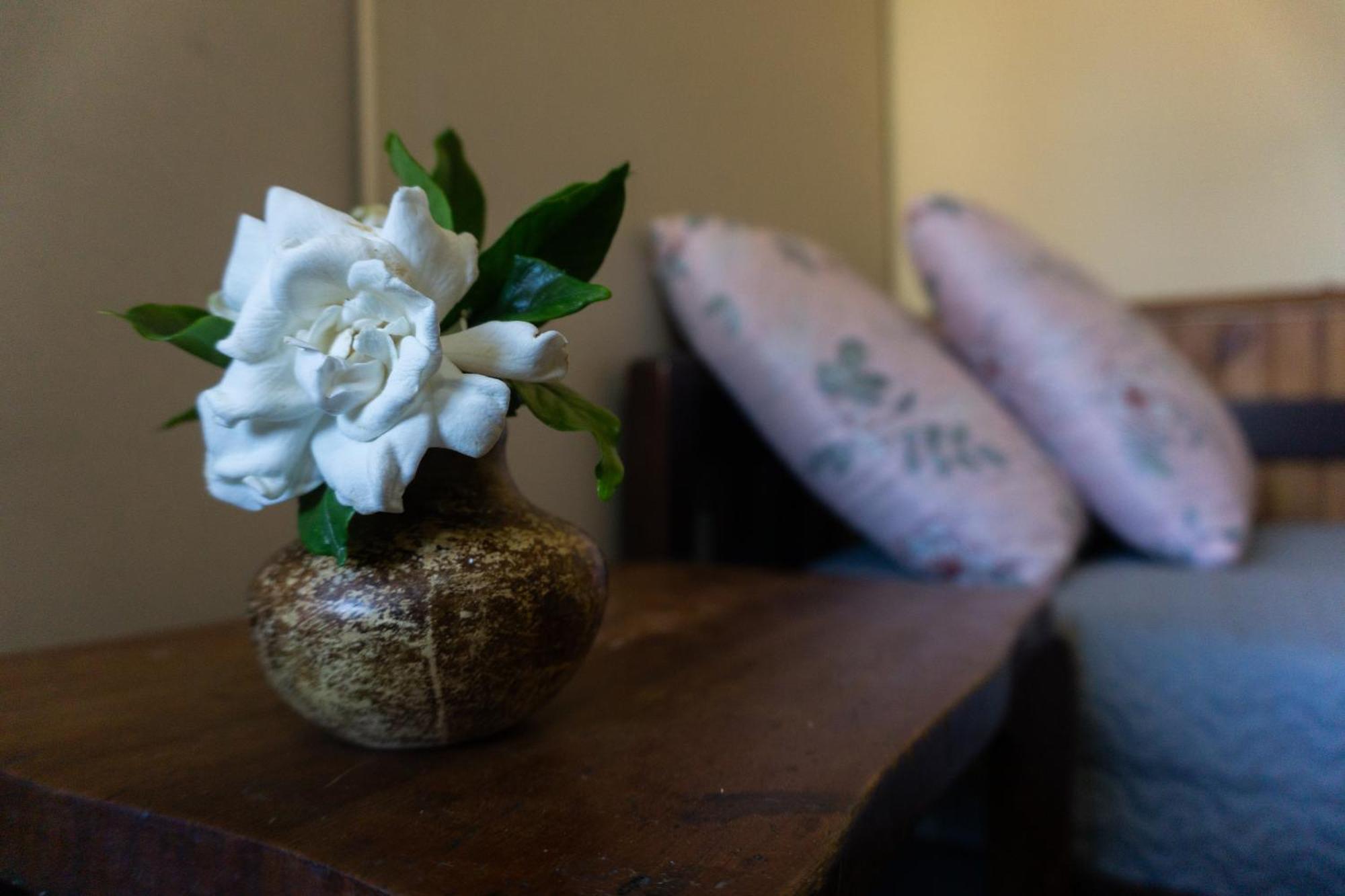 メロMi Casa Es Tu Casaアパートメント エクステリア 写真
