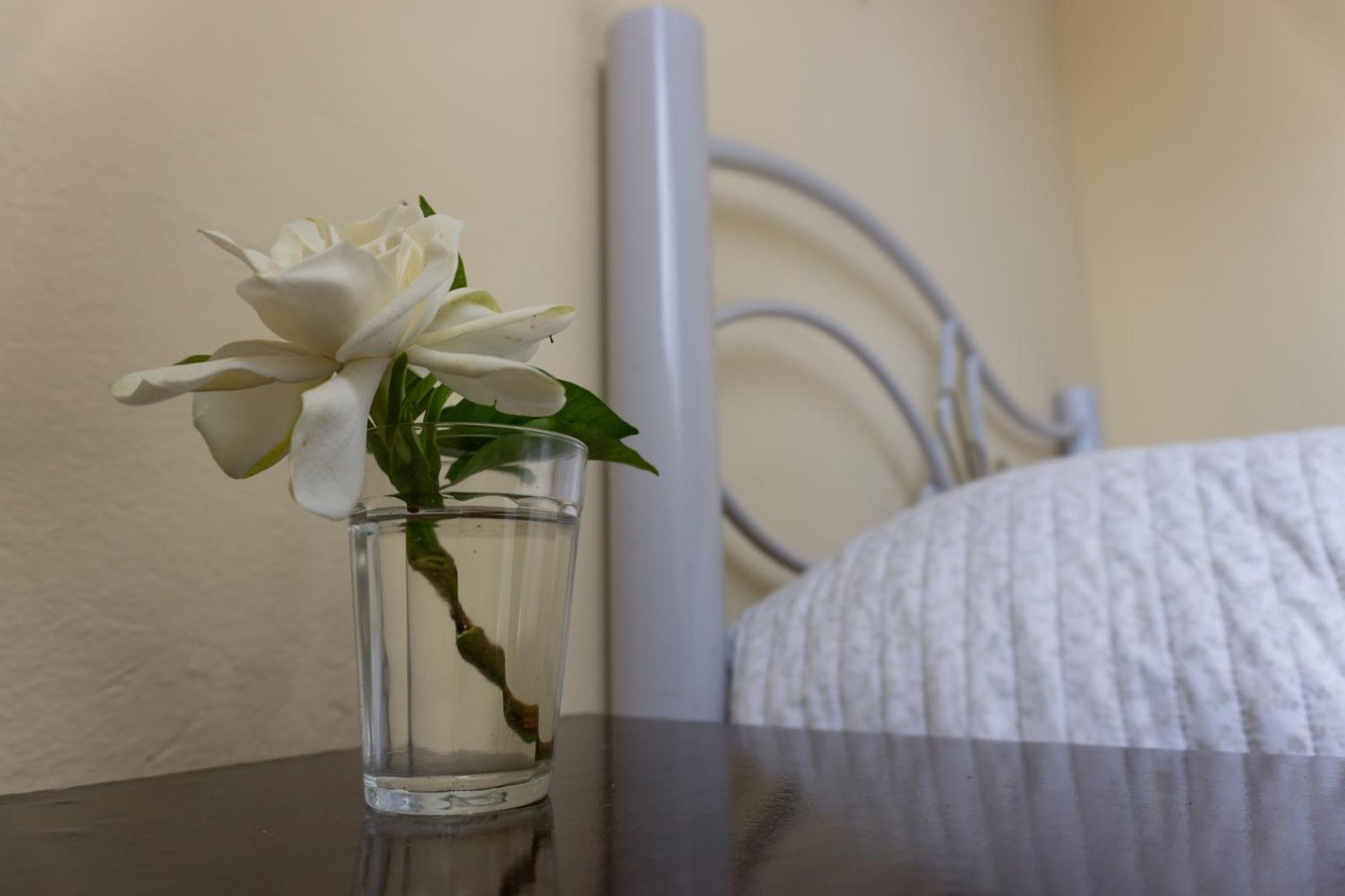 メロMi Casa Es Tu Casaアパートメント エクステリア 写真